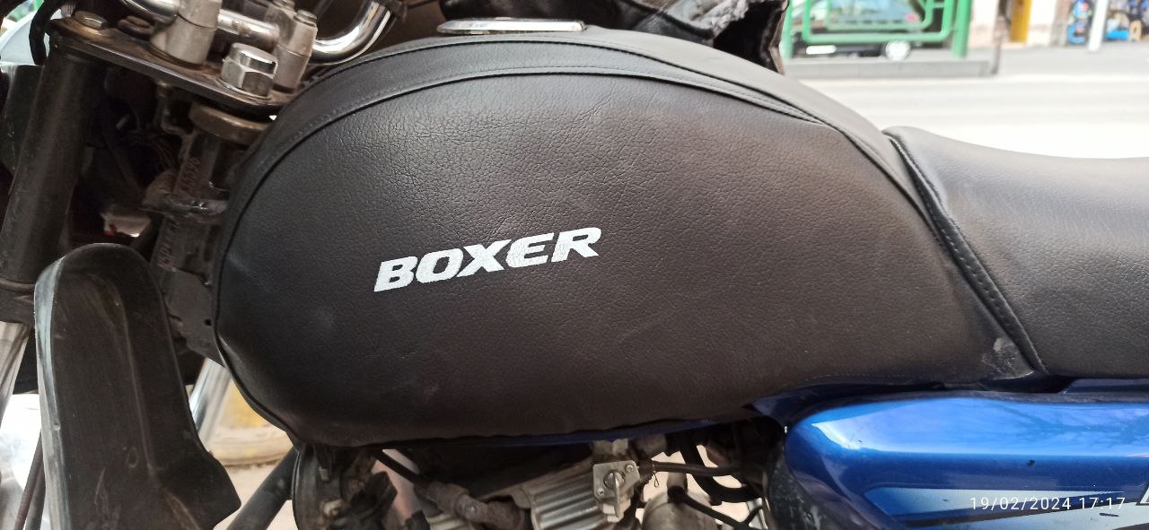 روکش باک باکسر
